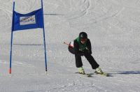 Landes-Ski-2015 04 Manuela Spiesberger